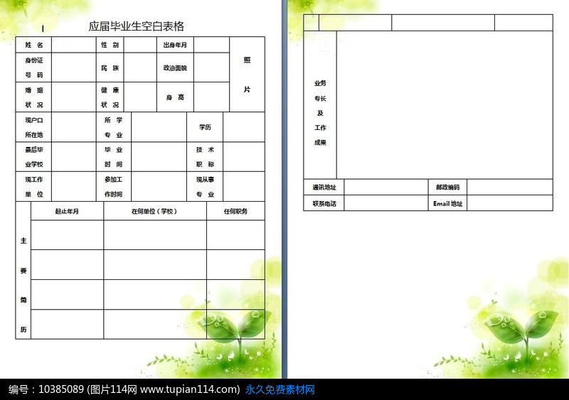 绿色应届毕业生空白表格模板