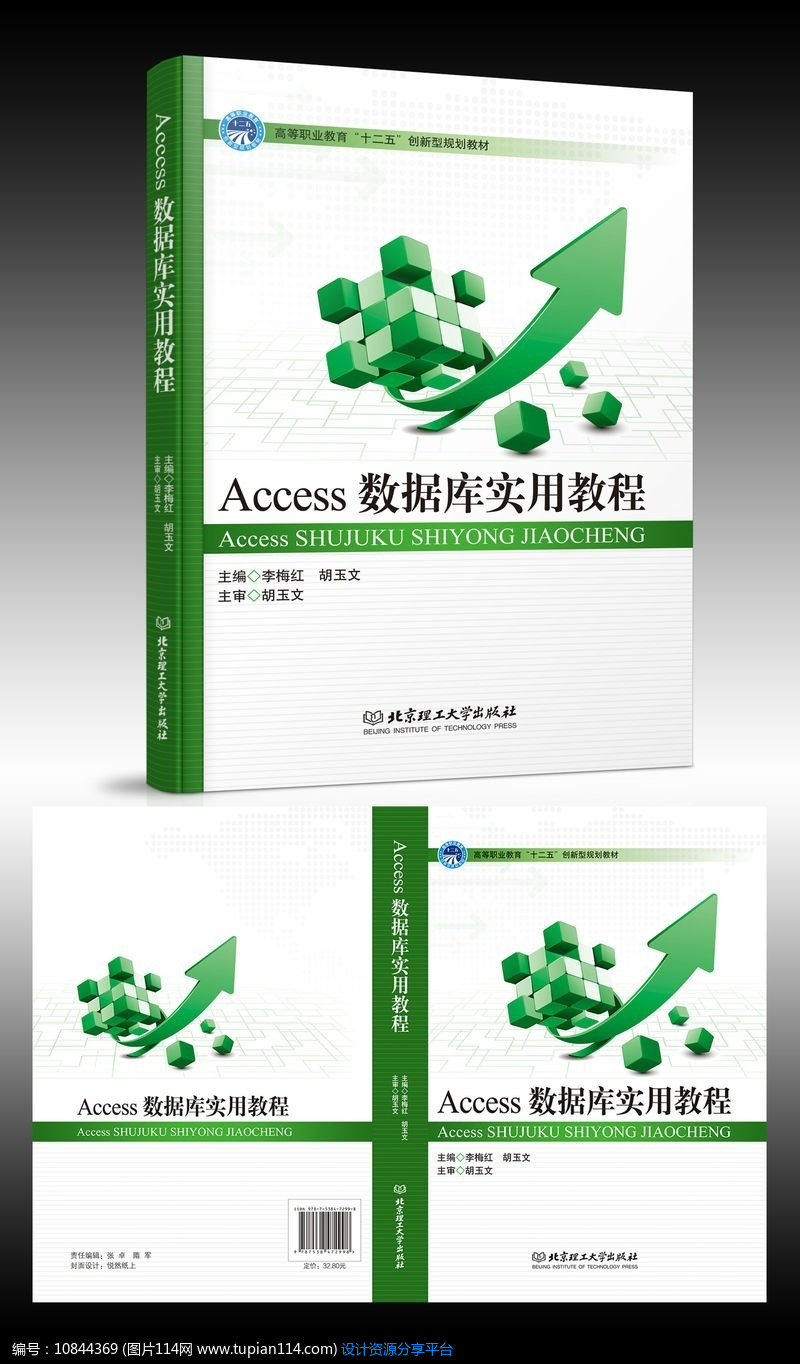 [原创] Access数据库实用教程书籍画册封面设计