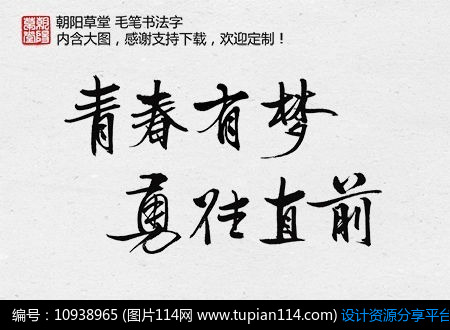 青春有梦勇往直前主题书法字