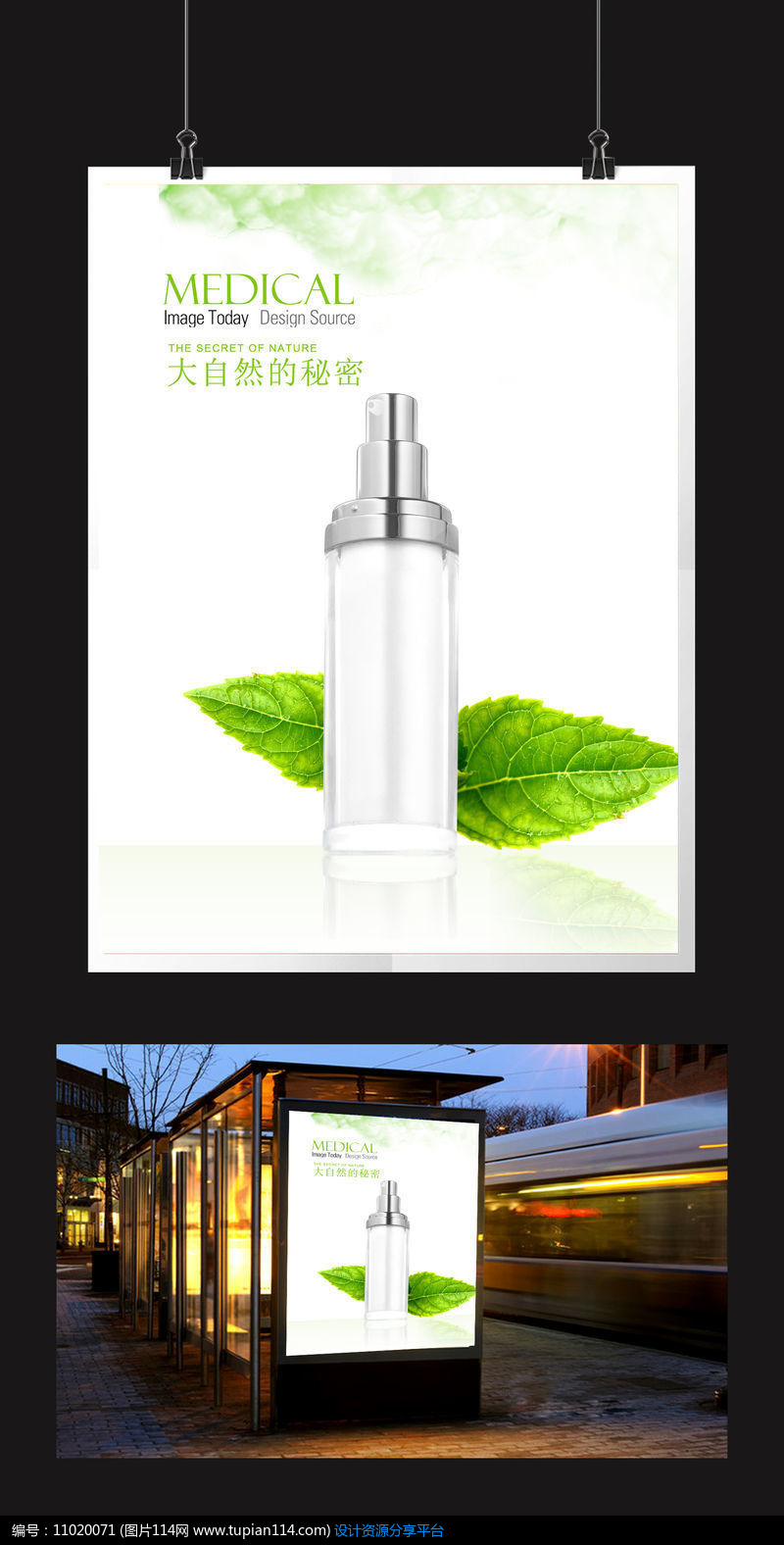 [原创] 植物绿叶护肤品海报