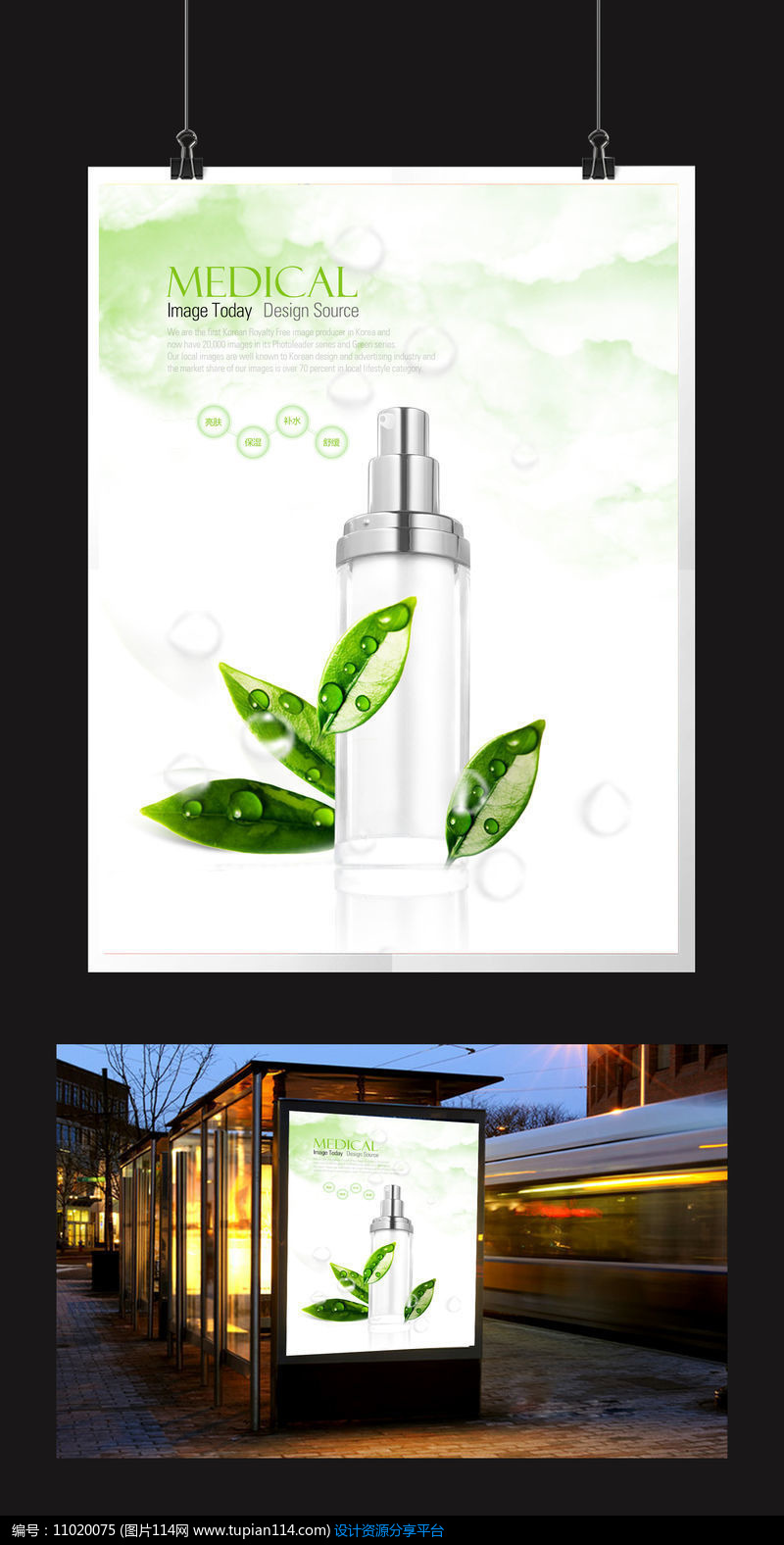 [原创] 清新高档叶子绿叶植物护肤品海报