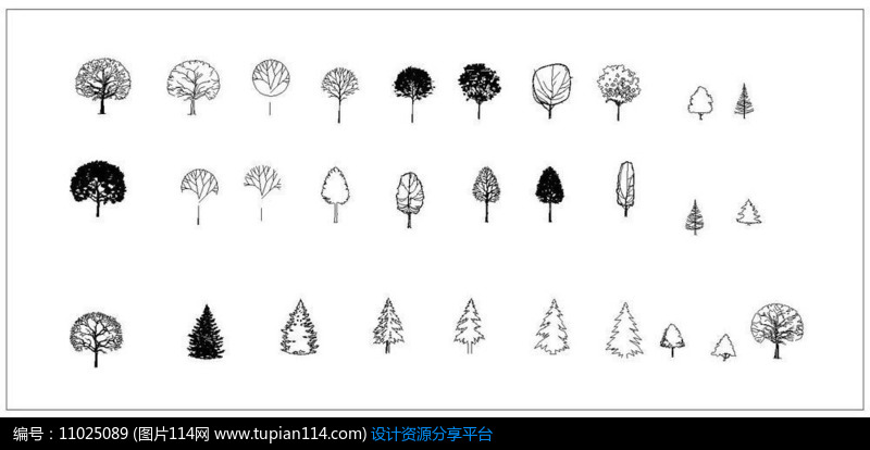 乔木立面图例