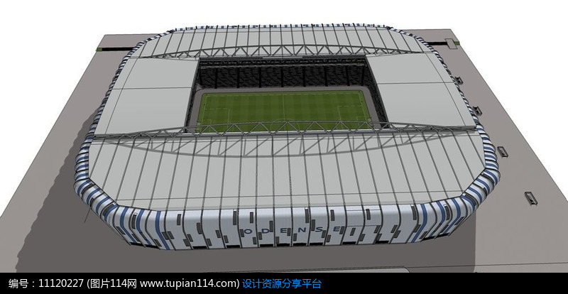 斑纹足球比赛场