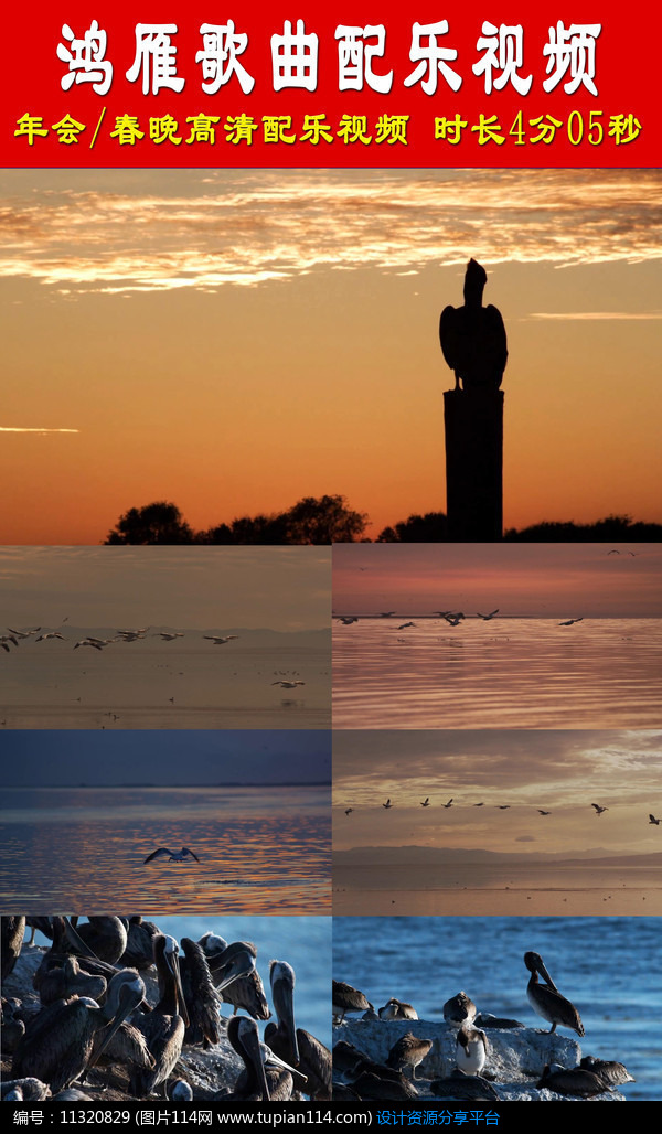 鸿雁歌曲配乐视频