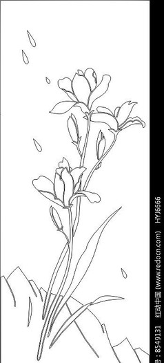 渐变笔刷和玉兰花插画psd素材