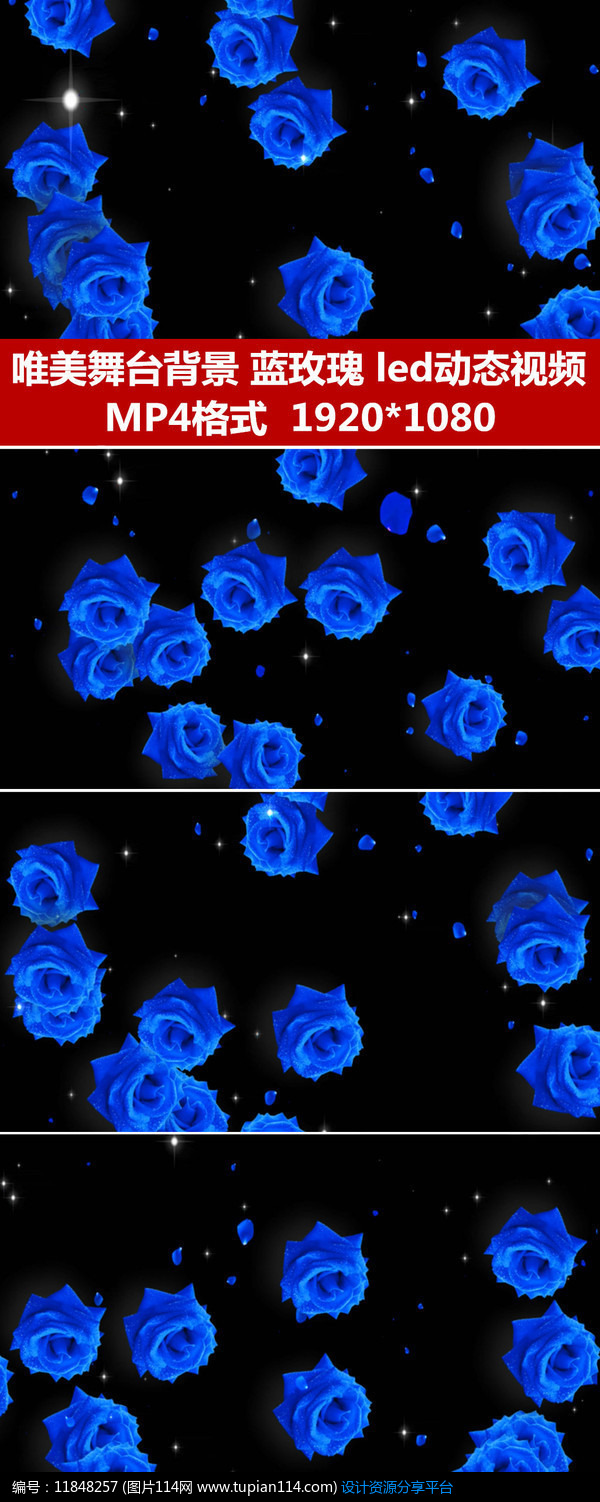 蓝色玫瑰婚礼背景舞蹈背景视频