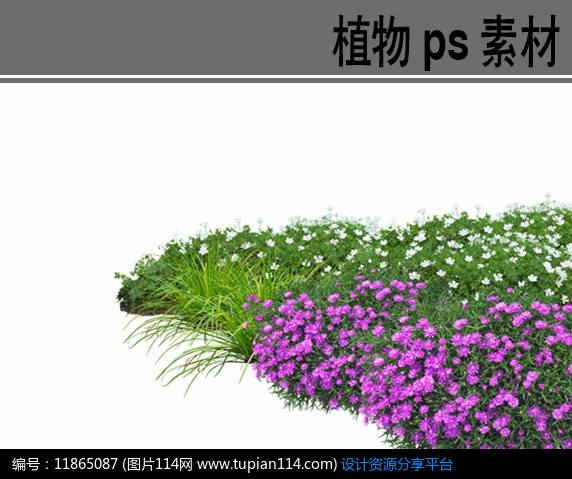 [原创] 花境植物ps分层素材