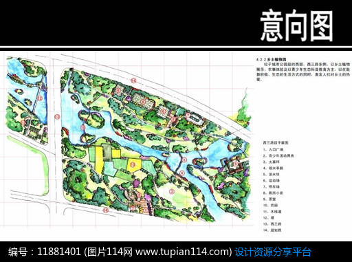 某公园湿地乡土植物园平面图